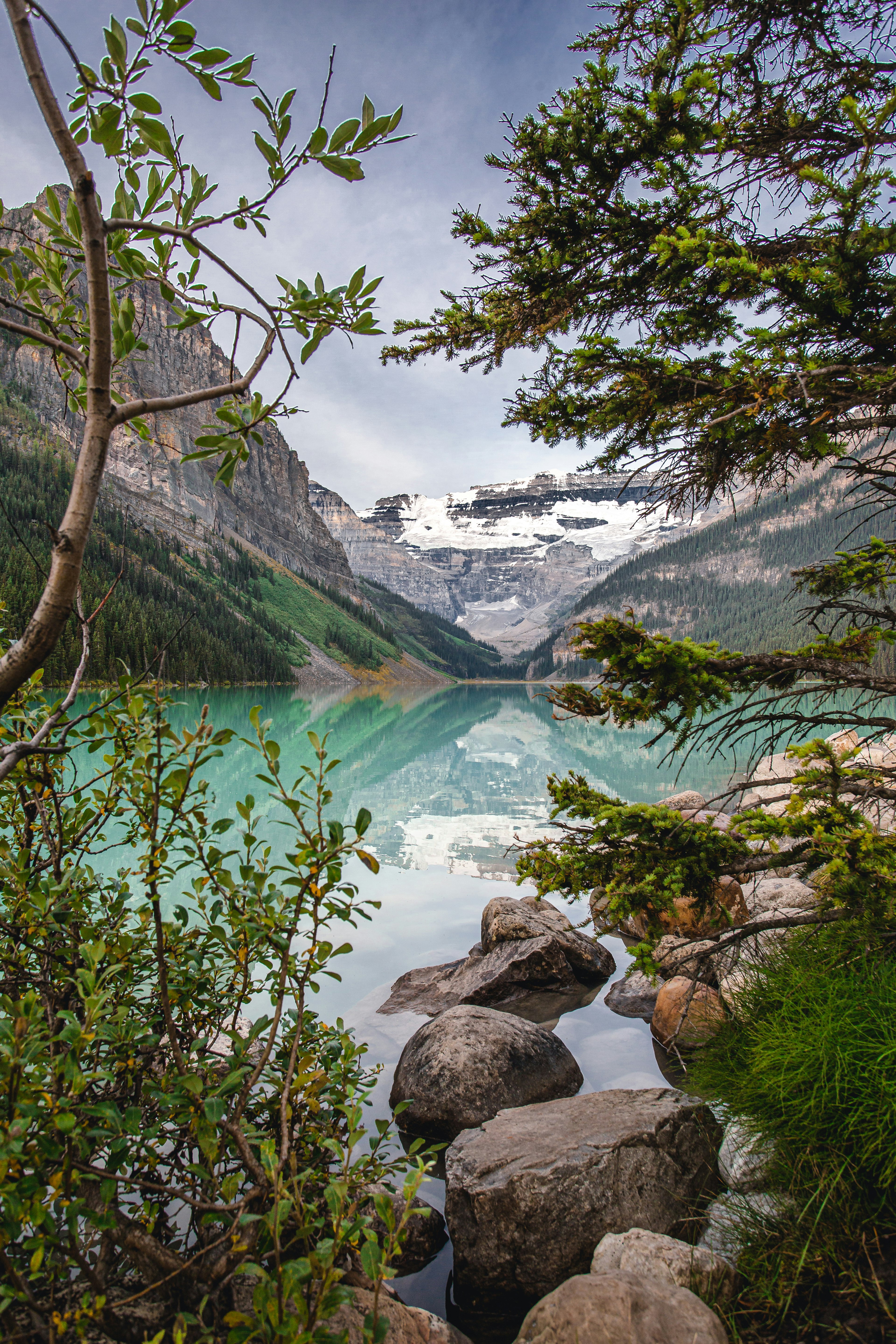 green trees near lake under white clouds and blue sky during daytime